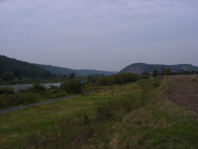 Home