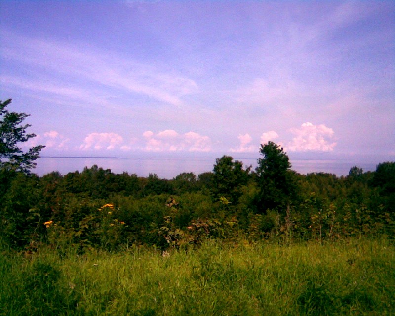 Home