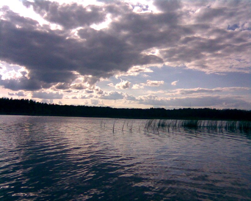Home
