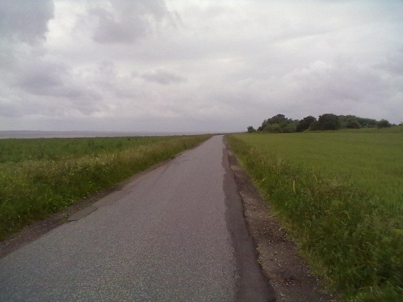 Home
