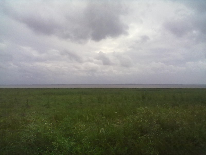 Home